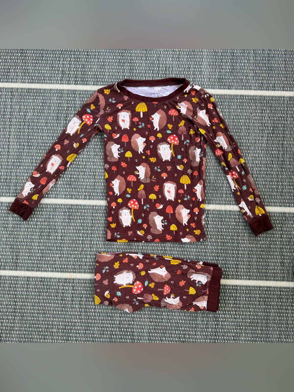 Little Sleepies Happy Hedgehogs Bamboo Viscose Two Piece Pajama Set, 4T